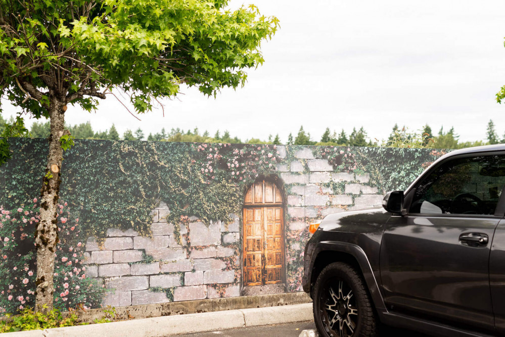 visual options -4133