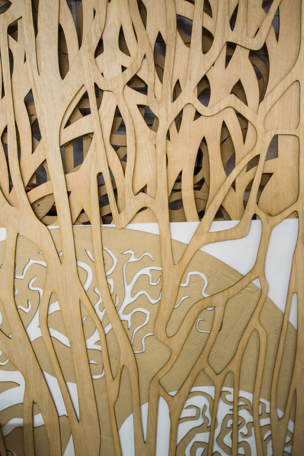 visial_options-8694(1)