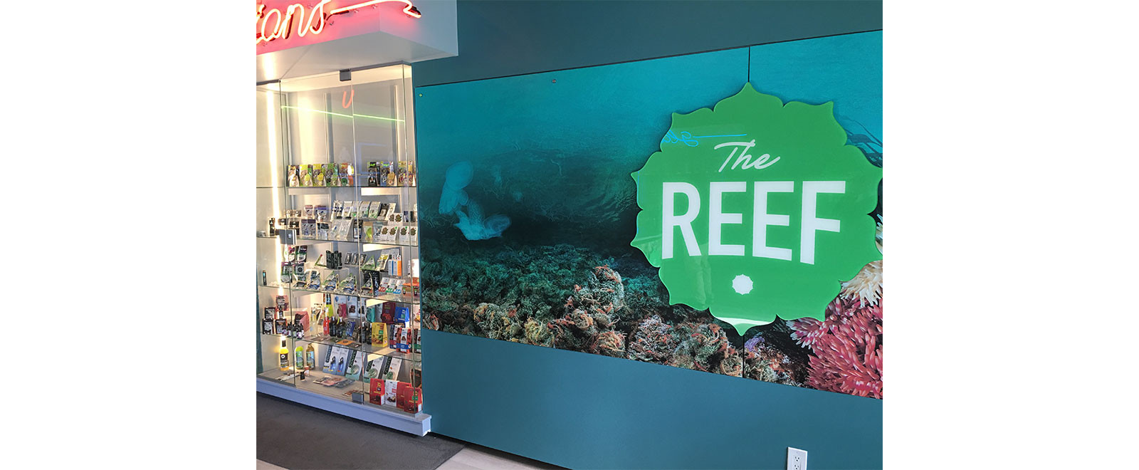 The-REEF-2