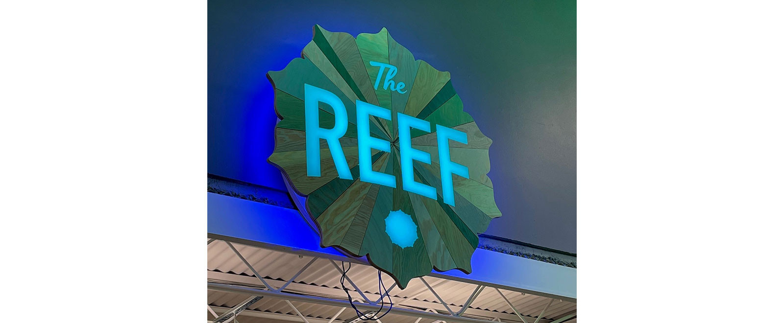 The-REEF-5